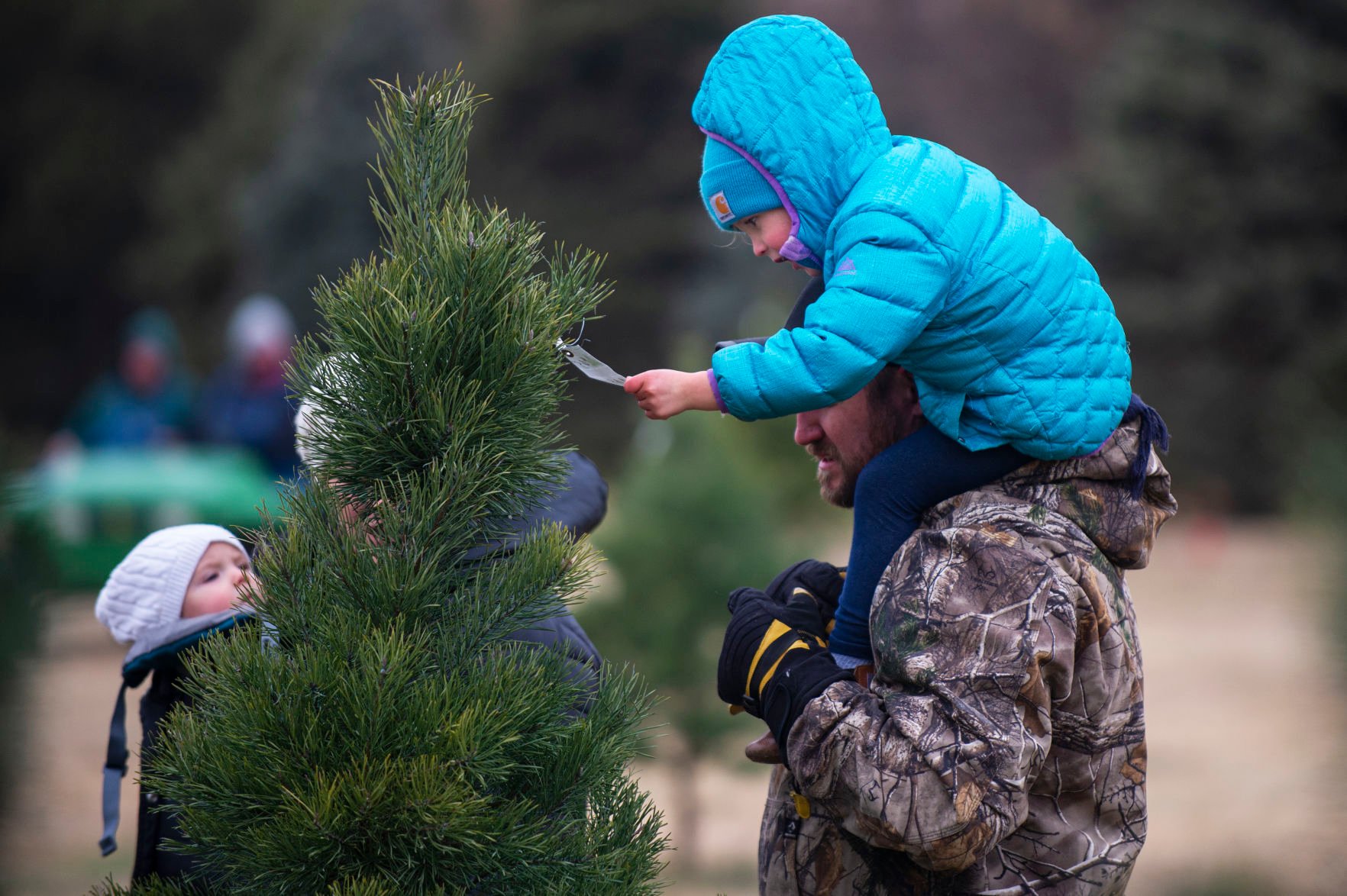 Christmas tree demand